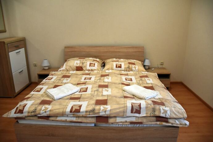 Imagen general del Hotel Penzi&oacute;n Koruna. Foto 8