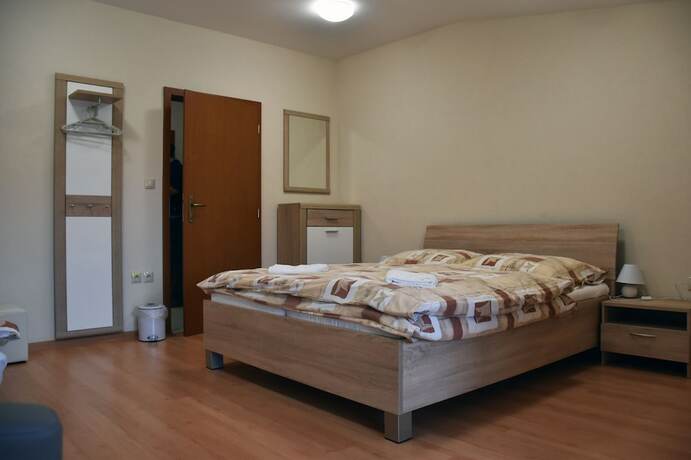 Imagen de la habitación del Hotel Penzi&oacute;n Koruna. Foto 19