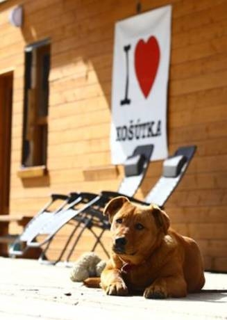 Imagen general del Hotel Penzión Košútka. Foto 21