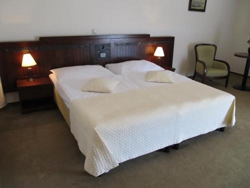 Imagen de la habitación del Hotel Penzi&oacute;n Ryb&aacute;rsky Dvor. Foto 9