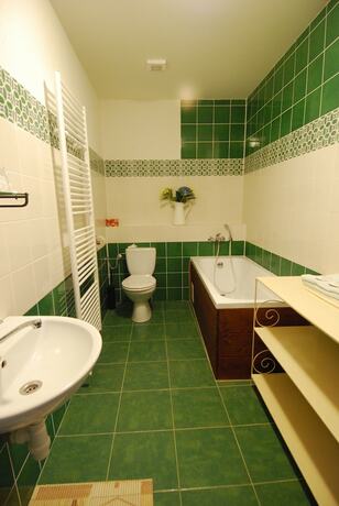 Imagen general del Hotel Penzi&oacute;n Star&yacute; Hostinec. Foto 5
