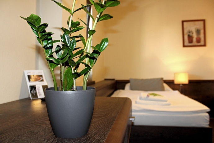 Imagen de la habitación del Hotel Penzi&oacute;n and Wellness Zoborsk&aacute;. Foto 3