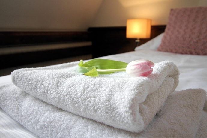 Imagen de la habitación del Hotel Penzi&oacute;n and Wellness Zoborsk&aacute;. Foto 5