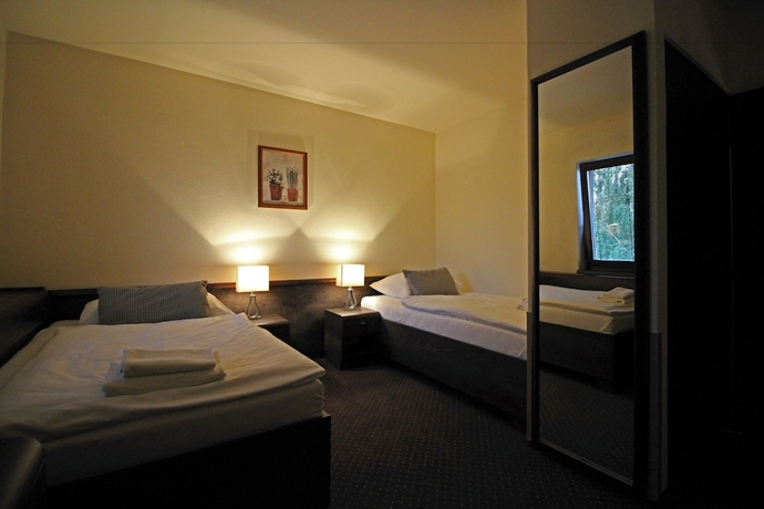 Imagen de la habitación del Hotel Penzi&oacute;n and Wellness Zoborsk&aacute;. Foto 6