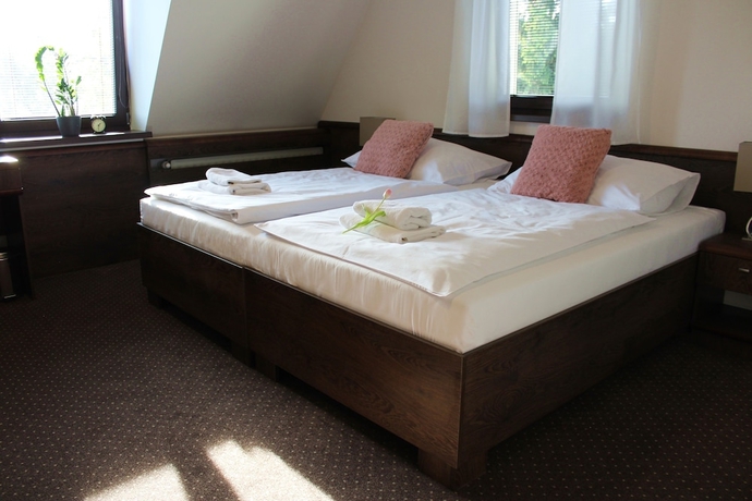 Imagen de la habitación del Hotel Penzi&oacute;n and Wellness Zoborsk&aacute;. Foto 11