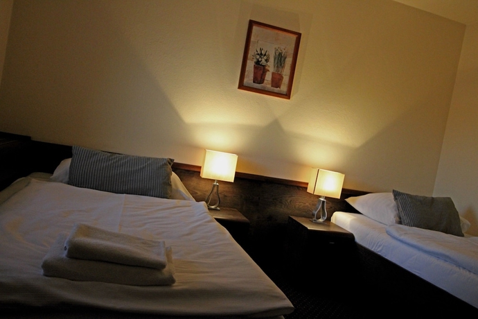 Imagen de la habitación del Hotel Penzi&oacute;n and Wellness Zoborsk&aacute;. Foto 15