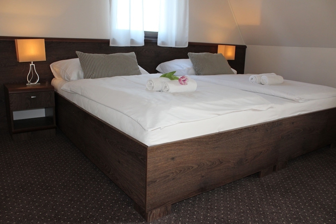 Imagen de la habitación del Hotel Penzi&oacute;n and Wellness Zoborsk&aacute;. Foto 16