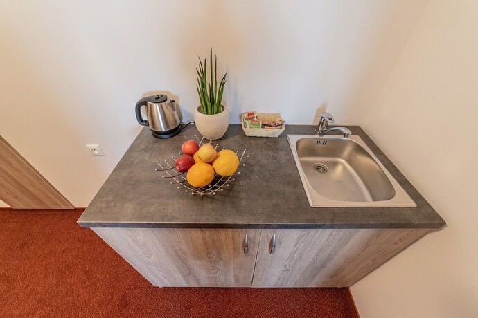 Imagen general del Hotel Penzi&oacute;n Čere&scaron;nov&yacute; Sad. Foto 9