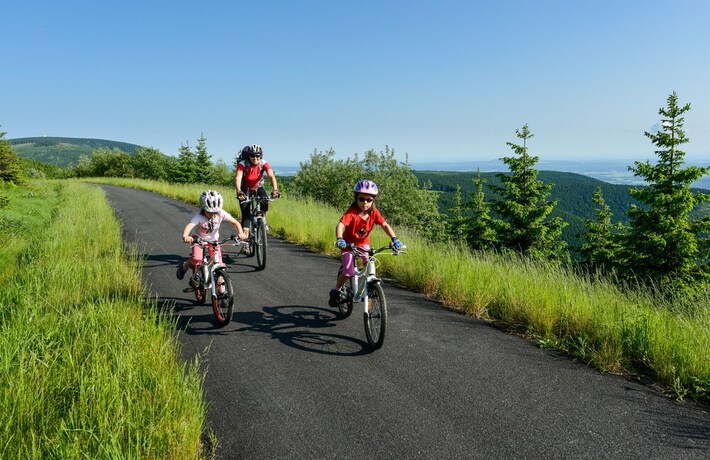 Imagen general del Hotel Penzion Andula. Foto 4