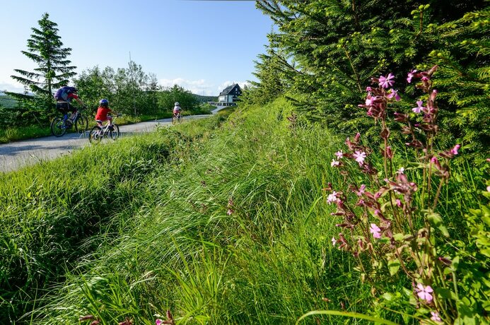 Imagen general del Hotel Penzion Andula. Foto 6