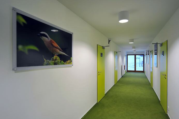 Imagen general del Hotel Penzion Andula. Foto 11