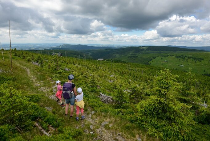 Imagen general del Hotel Penzion Andula. Foto 13