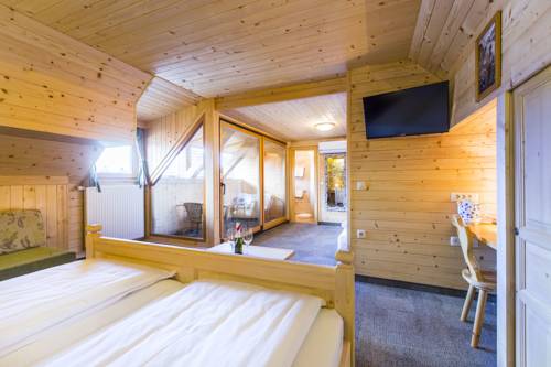 Imagen de la habitación del Hotel Penzion Berc. Foto 11