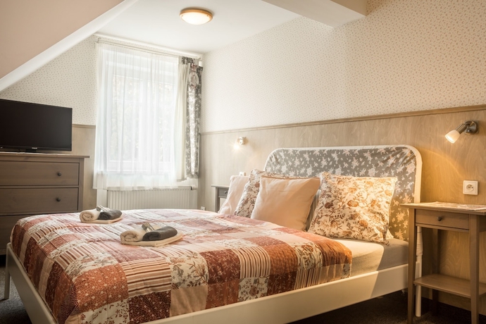 Imagen de la habitación del Hotel Penzion B&iacute;l&aacute; voda. Foto 16
