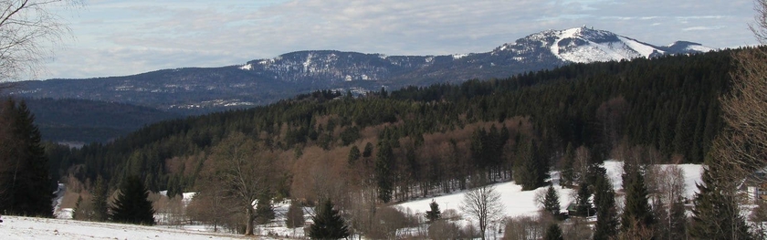Imagen general del Hotel Penzion Diana, Železn&aacute; Ruda . Foto 10
