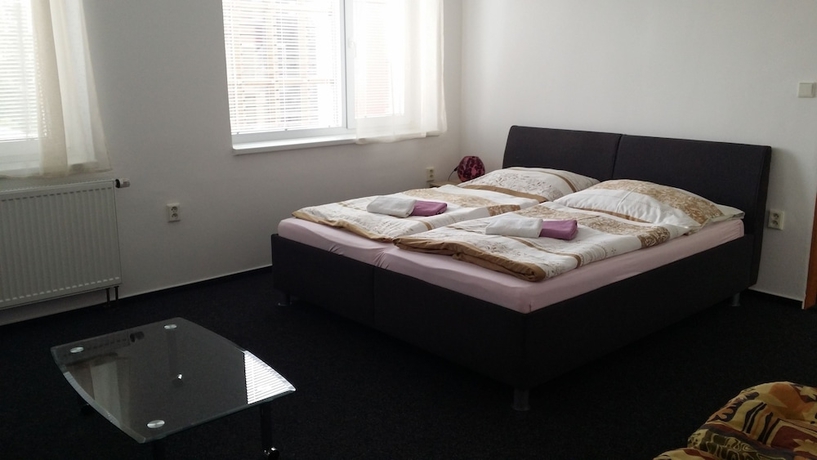 Imagen de la habitación del Hotel Penzion D.m.z.. Foto 9