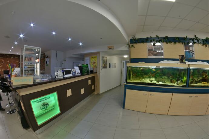 Imagen general del Hotel Penzion Grasel. Foto 3