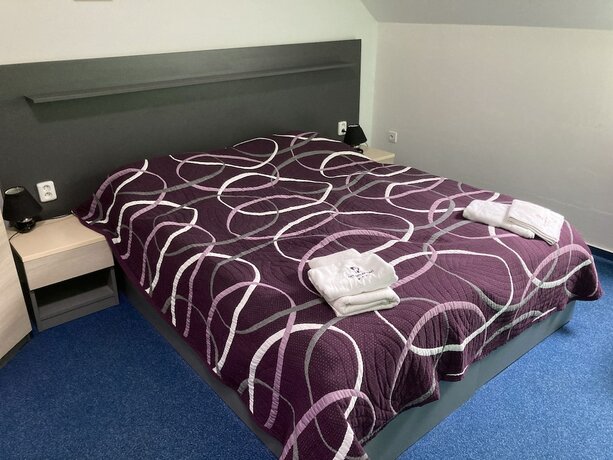 Imagen de la habitación del Hotel Penzion Grasel. Foto 20