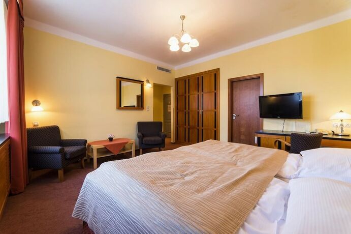 Imagen general del Hotel Penzion Homer Poděbrady. Foto 6