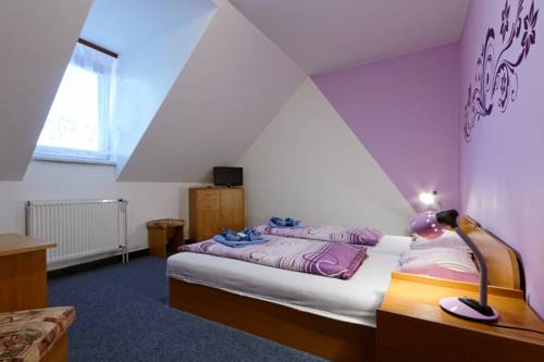 Imagen de la habitación del Hotel Penzion Jord&aacute;n. Foto 10