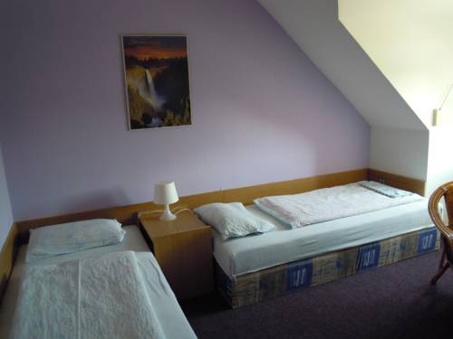 Imagen de la habitación del Hotel Penzion Jord&aacute;n. Foto 11