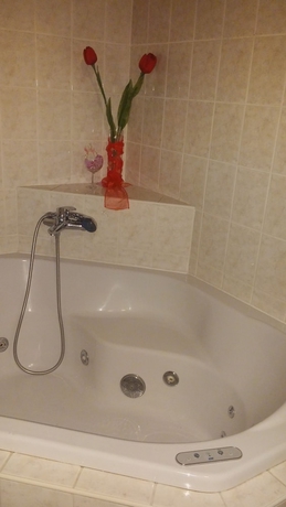 Imagen de la habitación del Hotel Penzion Lara. Foto 6