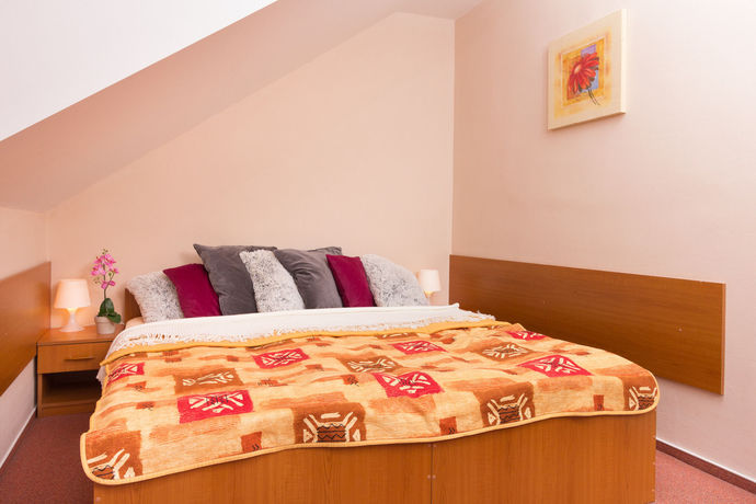 Imagen de la habitación del Hotel Penzion Larion. Foto 1