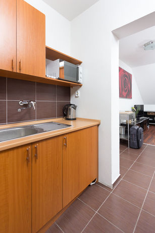Imagen de los interiores del Hotel Penzion Larion. Foto 11