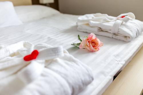 Imagen de la habitación del Hotel Penzion Lion. Foto 15