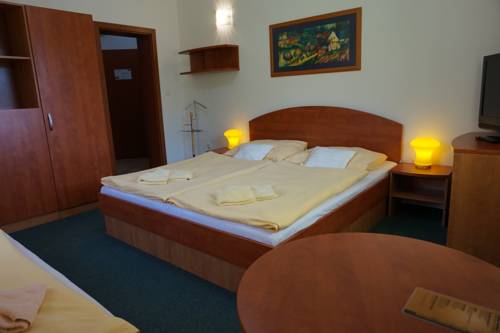 Imagen de la habitación del Hotel Penzion Martin. Foto 16