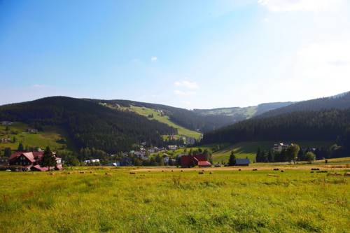 Imagen de la habitación del Hotel Penzion Pod Lesem. Foto 3