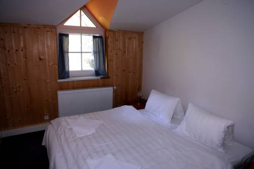 Imagen de la habitación del Hotel Penzion Pod Lesem. Foto 4