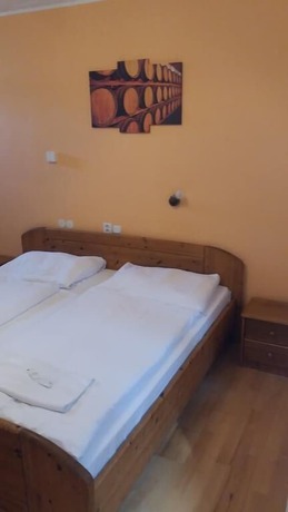 Imagen general del Hotel Penzion Retro. Foto 8