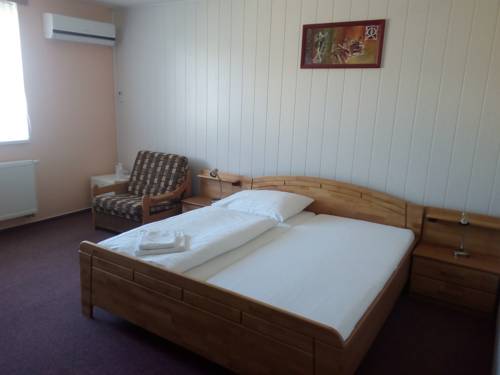 Imagen de la habitación del Hotel Penzion Solid Spa. Foto 7