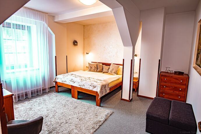 Imagen general del Hotel Penzion Star&eacute; časy. Foto 5