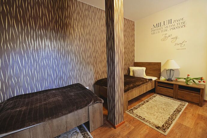 Imagen general del Hotel Penzion Star&eacute; časy. Foto 6