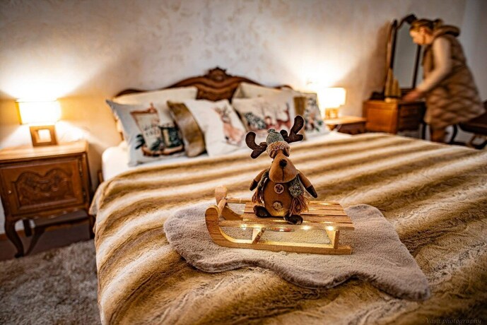 Imagen de la habitación del Hotel Penzion Star&eacute; časy. Foto 20