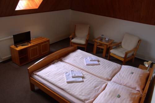 Imagen de la habitación del Hotel Penzion Stella. Foto 3