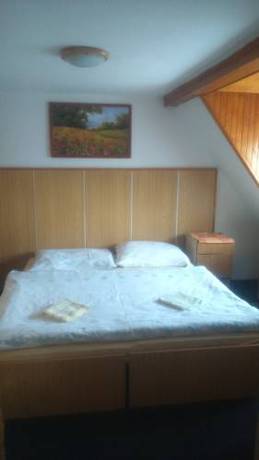 Imagen de la habitación del Hotel Penzion Tomy Pihlov. Foto 3