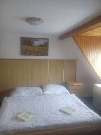 Imagen de la habitación del Hotel Penzion Tomy Pihlov. Foto 16