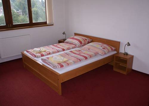 Imagen de la habitación del Hotel Penzion U Pas&aacute;čka. Foto 7