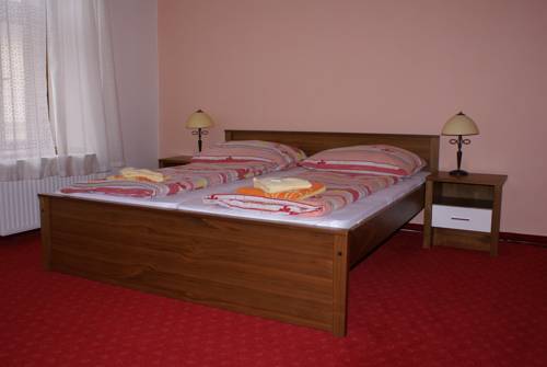 Imagen de la habitación del Hotel Penzion U Pas&aacute;čka. Foto 11