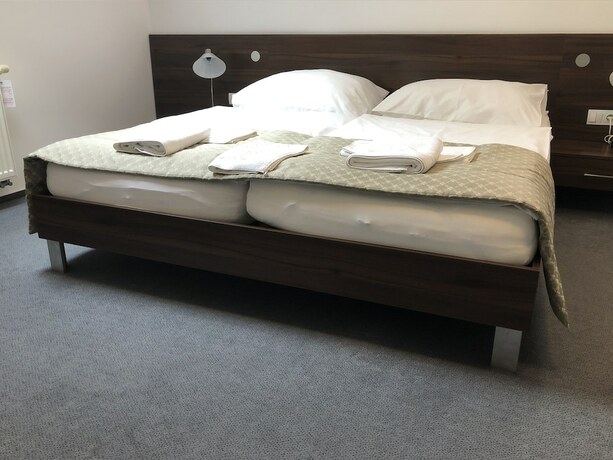 Imagen general del Hotel Penzion U Zvonu. Foto 4