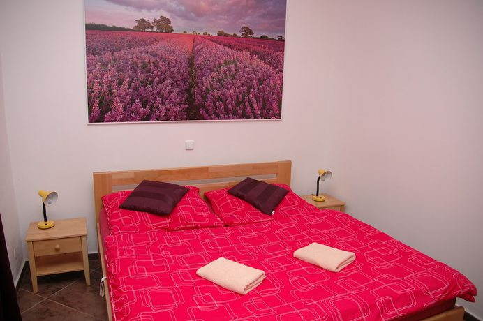 Imagen de la habitación del Hotel Penzion V Rokl&iacute;ch. Foto 12