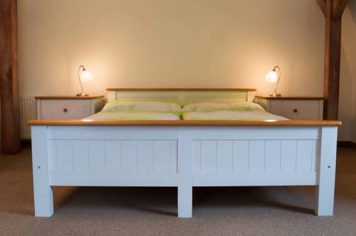 Imagen de la habitación del Hotel Penzion Ve Skale. Foto 10