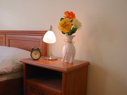 Imagen de la habitación del Hotel Penzion Ve Skale. Foto 13