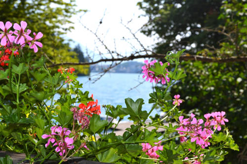 Imagen de la habitación del Hotel Penzion Zaka. Foto 10