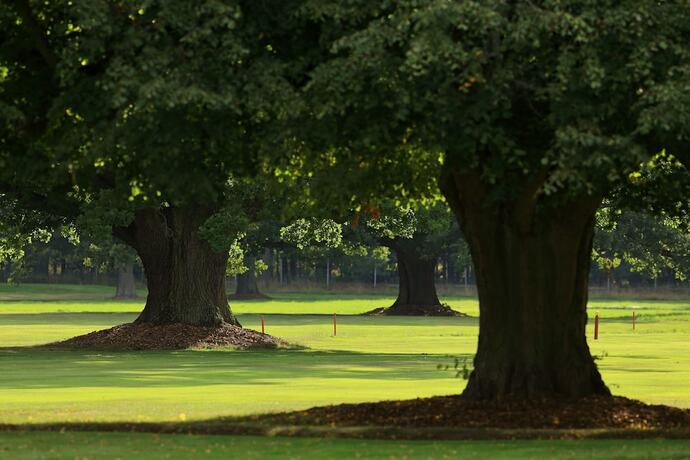 Imagen general del Hotel Penzion Černická obora. Foto 12