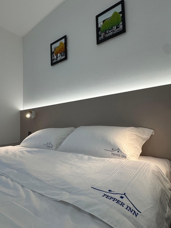 Imagen de la habitación del Hotel Pepper Inn. Foto 3