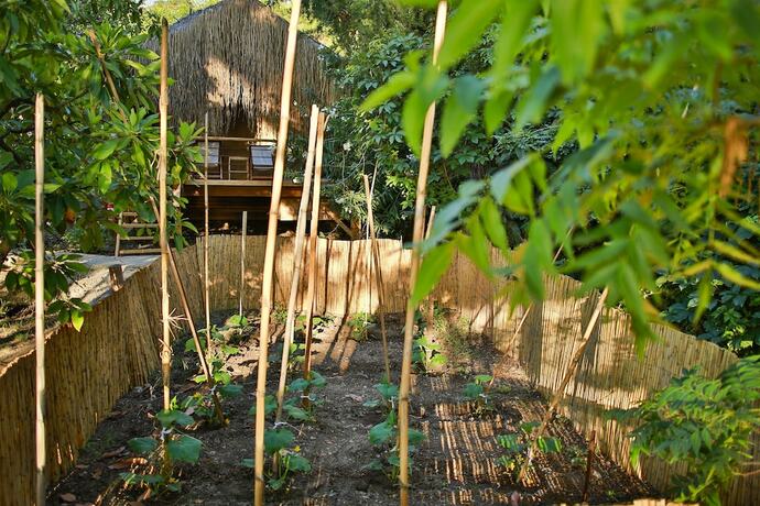 Imagen general del Hotel Perdue. Foto 7